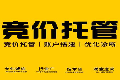 SEM投放策略：成功案例解析